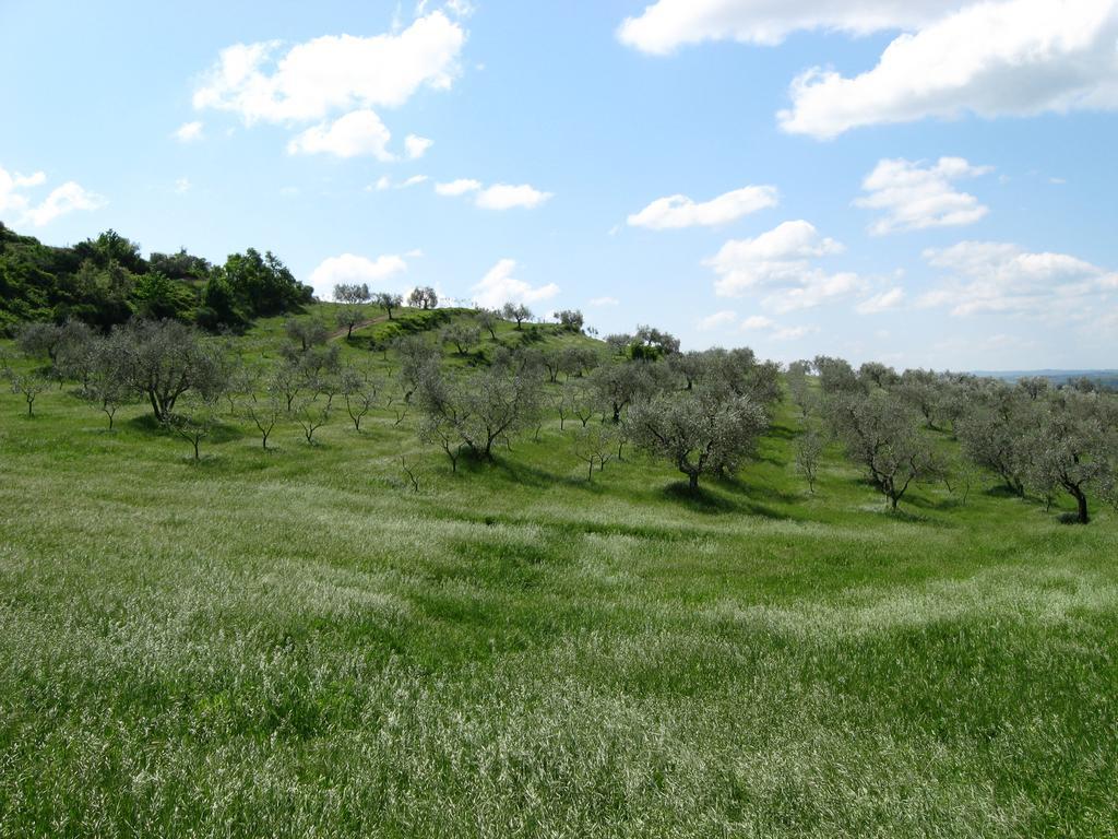 Agriturismo Le Roghete อักกวาเปนเดนเต ภายนอก รูปภาพ